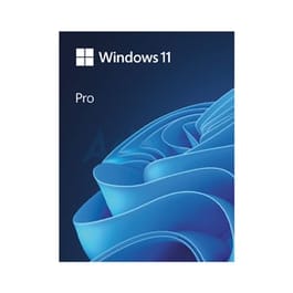 WINDOWS 11 PRO 64 BIT (FPP, HAV-00163)