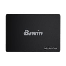 256 GB SSD SATA BIWIN M100 SPEED (BIW-M100256GB)