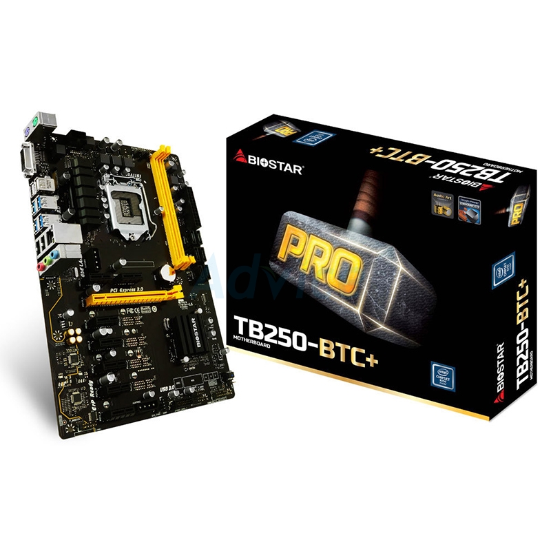 tb250 btc plus