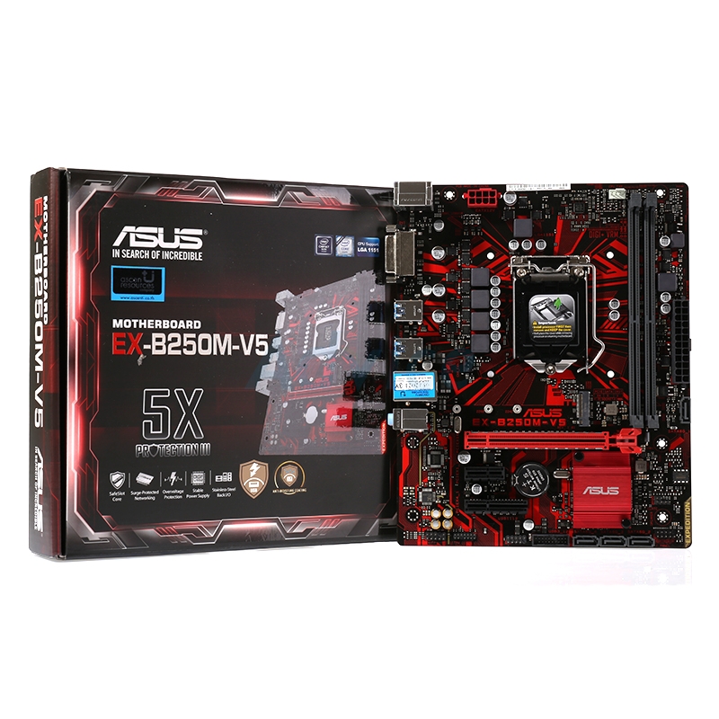 Совместимость процессоров asus ex b250m v5