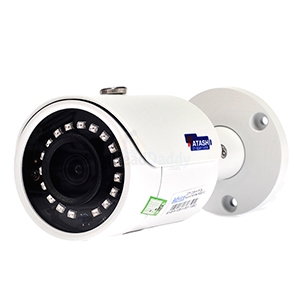 CCTV 3.6mm IP Camera WATASHI#WIP026SF-S5 (Onvif)
