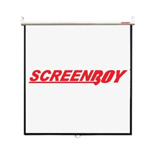 Wall Screen SCREENBOY (70x70) 1:1