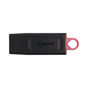 256GB Flash Drive KINGSTON Data Traveler Exodia (DTX) USB 3.2 Black