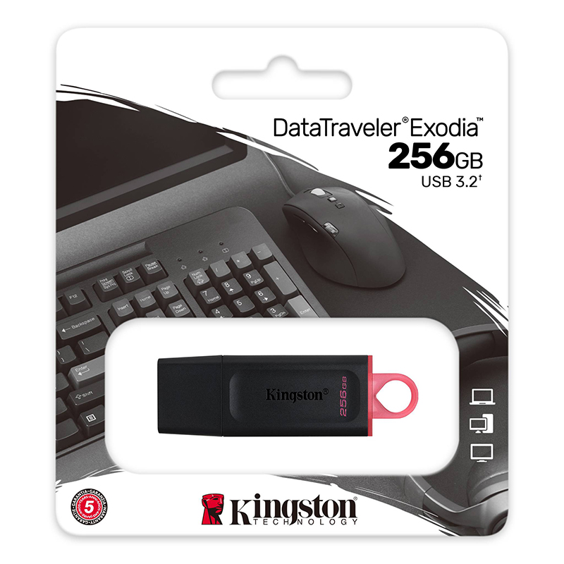 256GB Flash Drive KINGSTON Data Traveler Exodia (DTX) Black