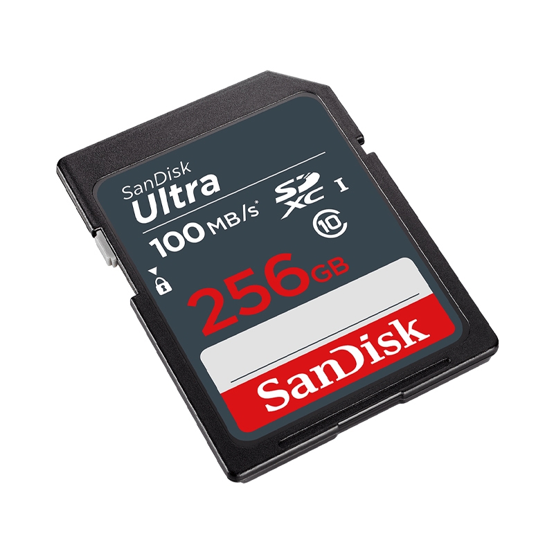 256GB SD Card SANDISK Ultra SDSDUNR-256G-GN3IN (100MB/s,)