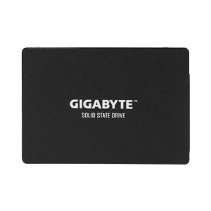 256 GB SSD SATA GIGABYTE (GSTFS31256GTND)