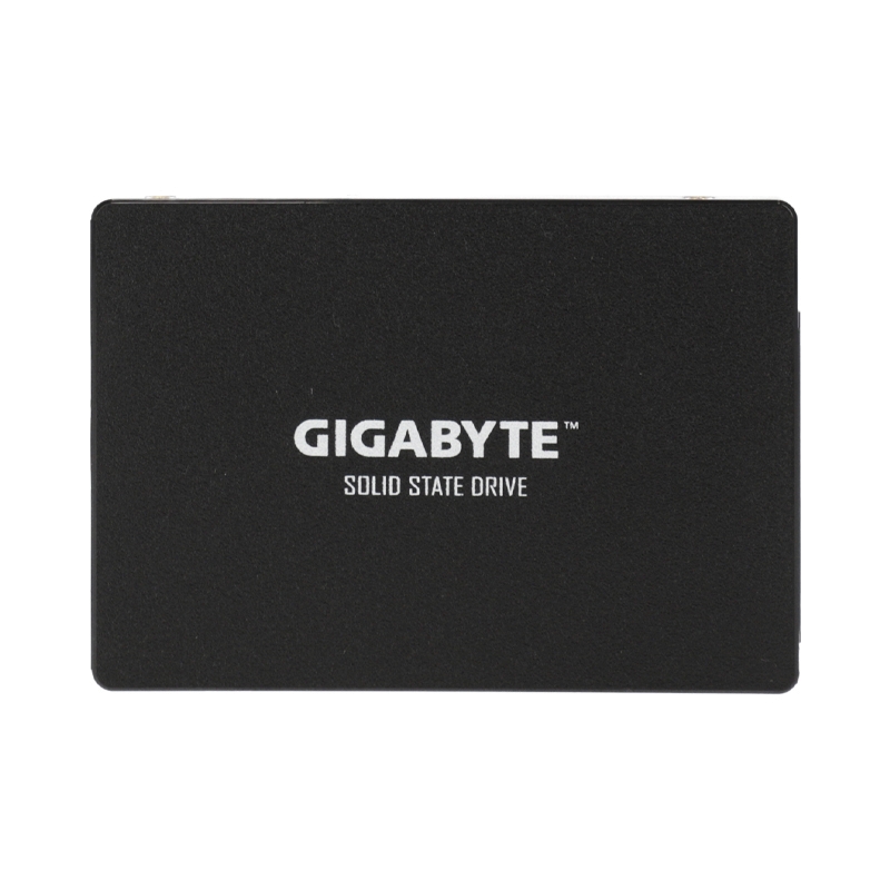 256 GB SSD SATA GIGABYTE (GSTFS31256GNTD)