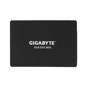 1 TB SSD SATA GIGABYTE (GSTFS31100TNTD)