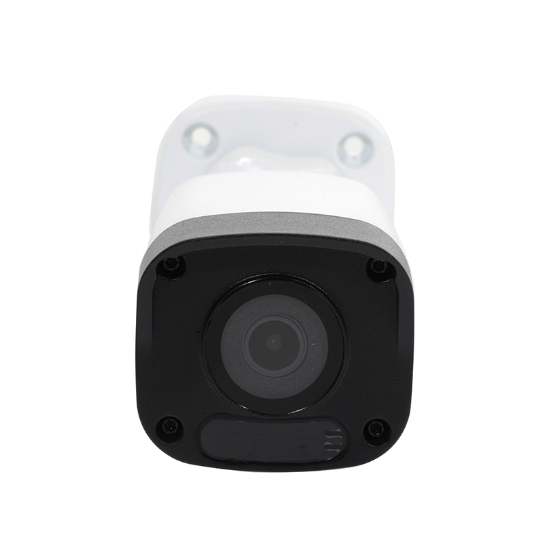 CCTV 2.8mm IP Camera WATASHI#WIP30299U