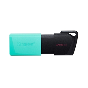 256GB Flash Drive KINGSTON Data Traveler Exodia M (DTXM) USB 3.2 Black