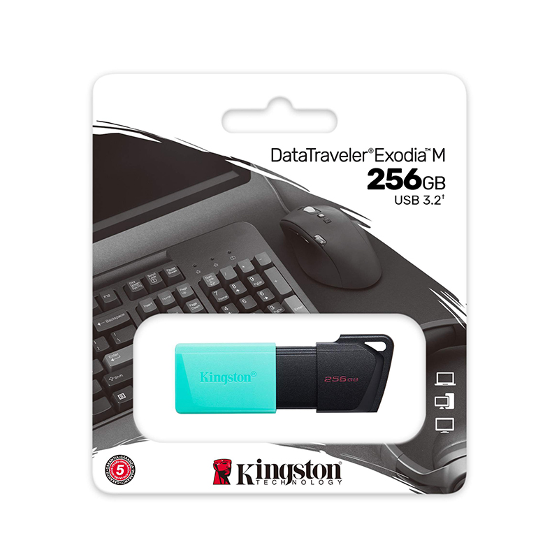 256GB Flash Drive KINGSTON Data Traveler Exodia M (DTXM) Black