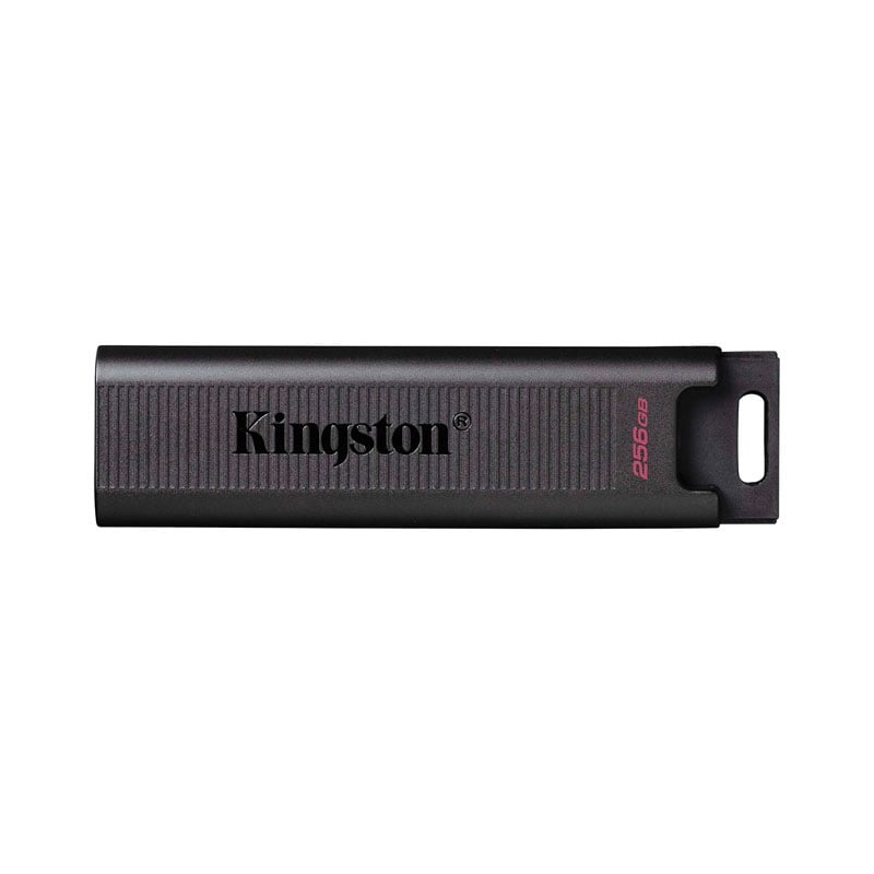 256GB  Flash Drive KINGSTON (DTMAX) Type-C