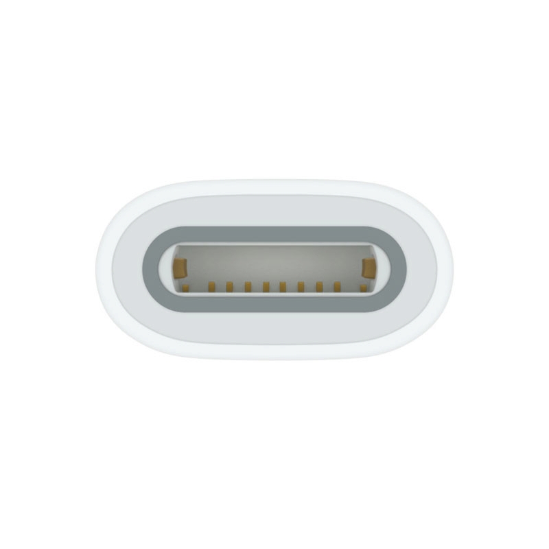 USB-C to Apple Pencil Adapter (MQLU3ZA/A)