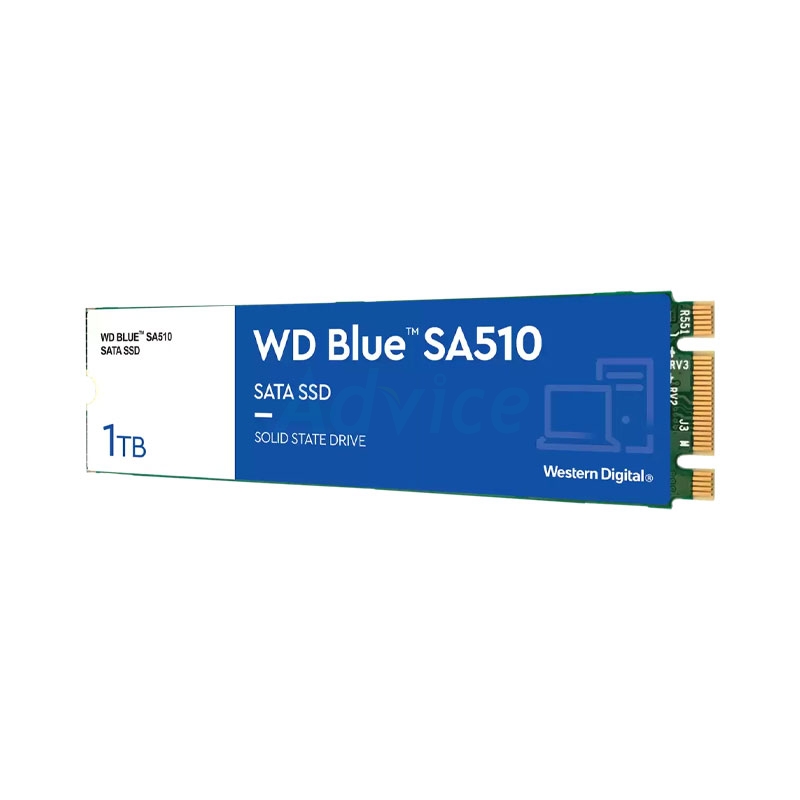 1 TB SSD M.2 SATA WD BLUE (WDS100T3B0B)