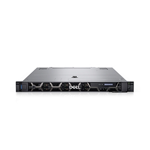 Server DELL PowerEdge R650 (SNSR65011)