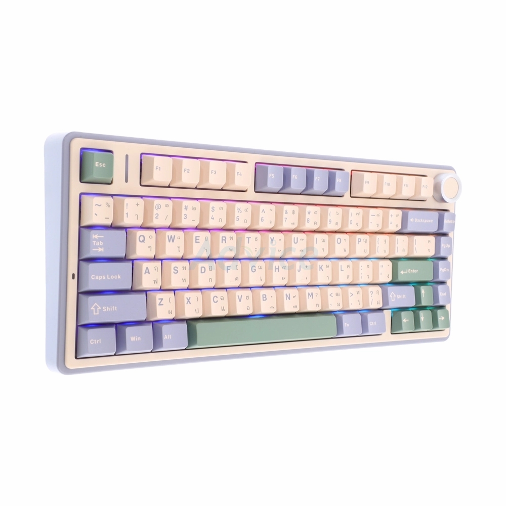 KEYBOARD WIRELESS BLUETOOTHAULA F75 PURPLE/BEIGE/LIGHTGREEN (GRAY SWITCH คีย์บอร์ด)