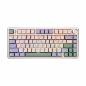 KEYBOARD WIRELESS BLUETOOTHAULA F75 PURPLE/BEIGE/LIGHTGREEN (GRAY SWITCH คีย์บอร์ด)