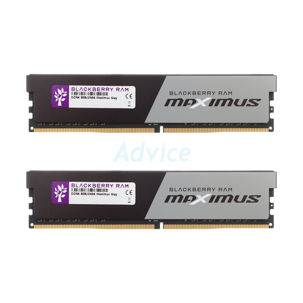 RAM DDR4(2666) 16GB (8GBX2) BLACKBERRY MAXIMUS GRAY