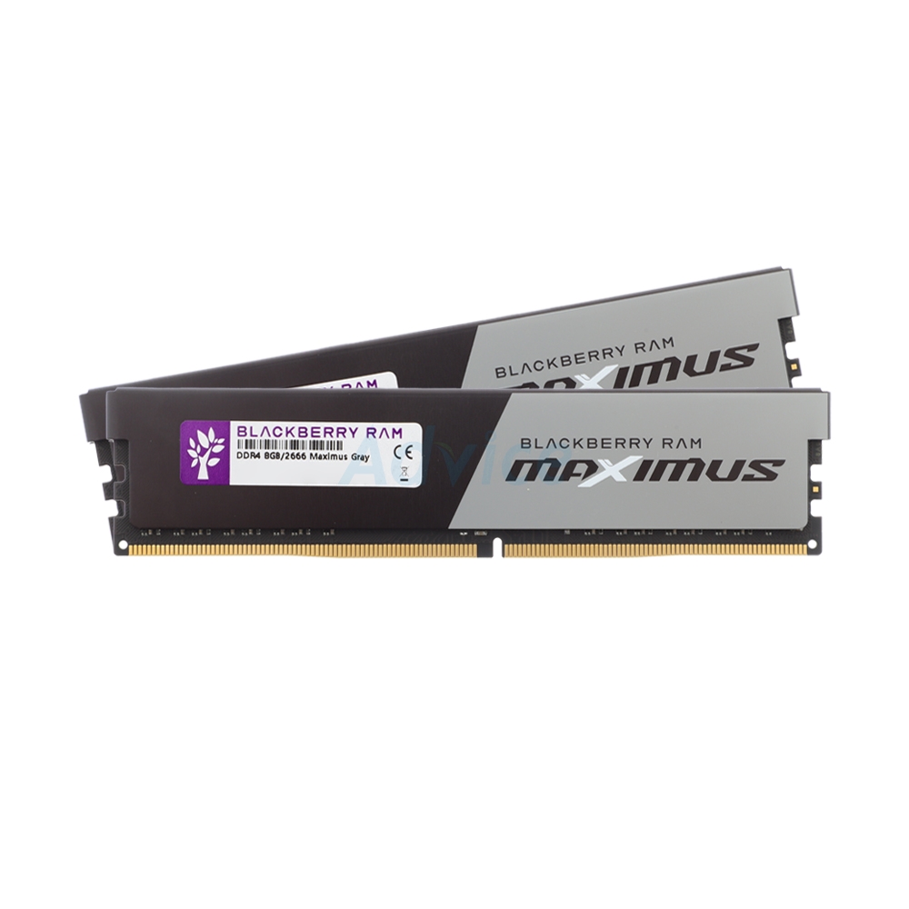 RAM DDR4(2666) 16GB (8GBX2) BLACKBERRY MAXIMUS GRAY