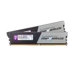 RAM DDR5(5200) 32GB (16GBX2) BLACKBERRY MAXIMUS GRAY