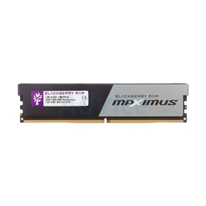 RAM DDR5(5200) 16GB BLACKBERRY MAXIMUS GRAY