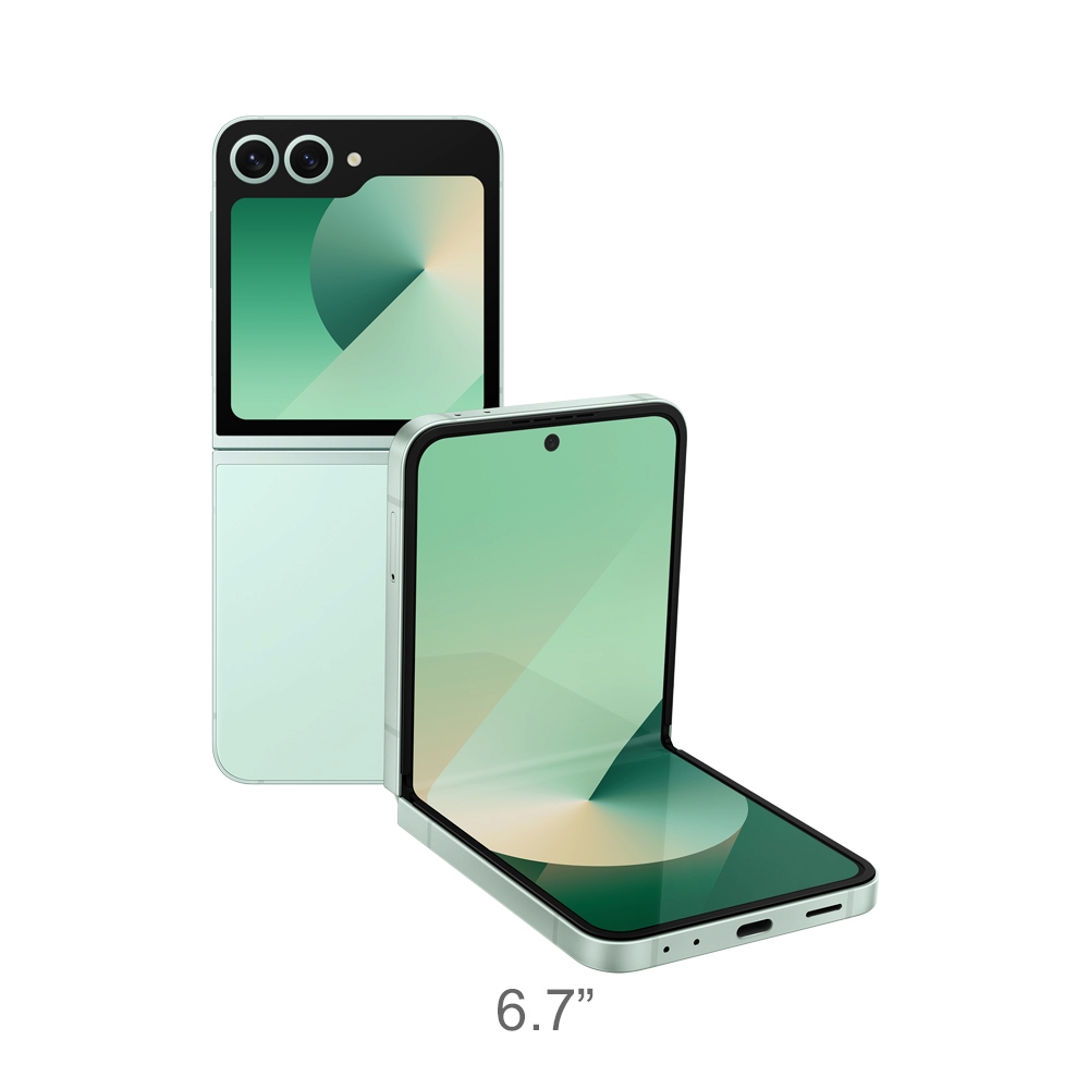 SAMSUNG Galaxy Z Flip6 5G (12+256GB/SM-F741BLGA) Mint