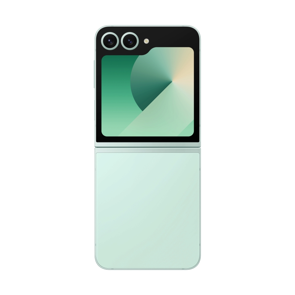 SAMSUNG Galaxy Z Flip6 5G (12+256GB/SM-F741BLGA) Mint