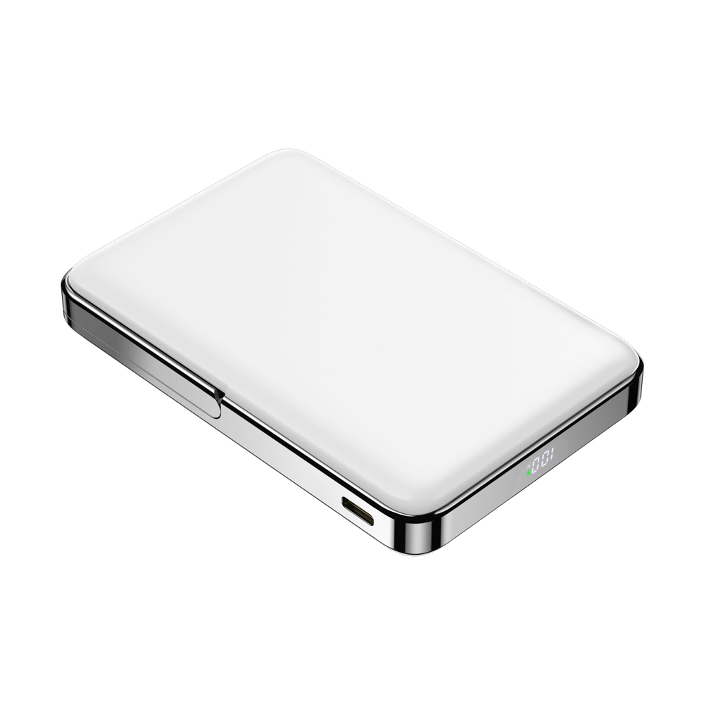 POWER BANK 10000 mAh PISEN (20W,TP-D080) White