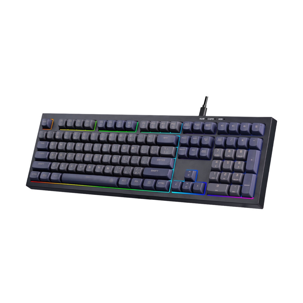 KB EGA TYPE K11 GRAY/PURPLE                                                     