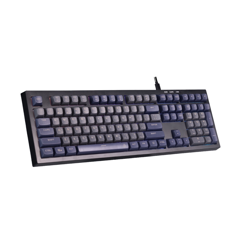KB EGA TYPE K11 GRAY/PURPLE                                                     