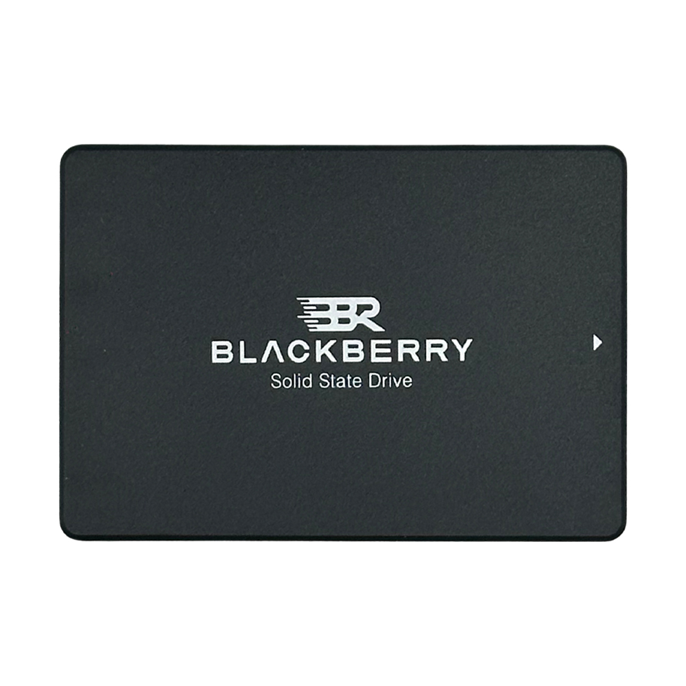 256 GB SSD SATA BLACKBERRY (BBR256GST1)