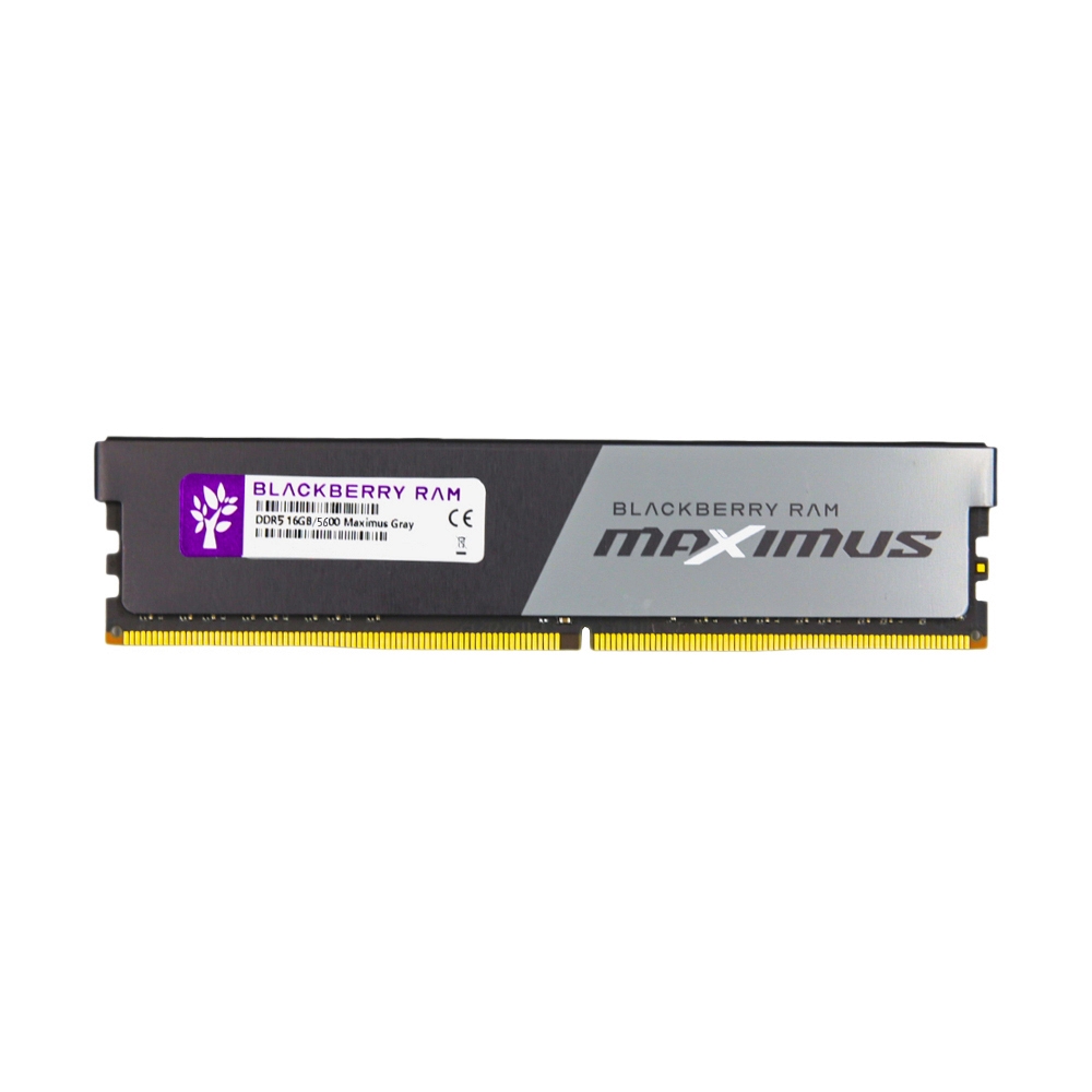 RAM DDR5(5600) 16GB BLACKBERRY MAXIMUS GRAY