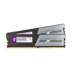 RAM DDR5(5600) 32GB (16GBX2) BLACKBERRY MAXIMUS GRAY