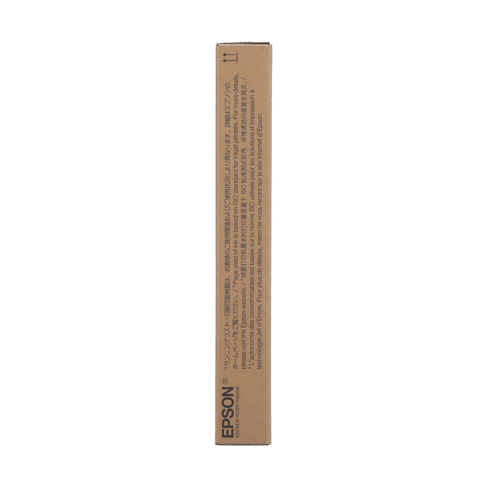 EPSON C13T11F200 C