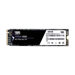 W es te m D i gita NVMe SSD 256GBX10 SSD M.2 PCIe/NVMe 256