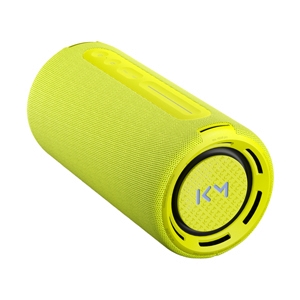 (1.0) ลำโพง Bluetooth LOEWE. We. HEAR Pro (Neon)