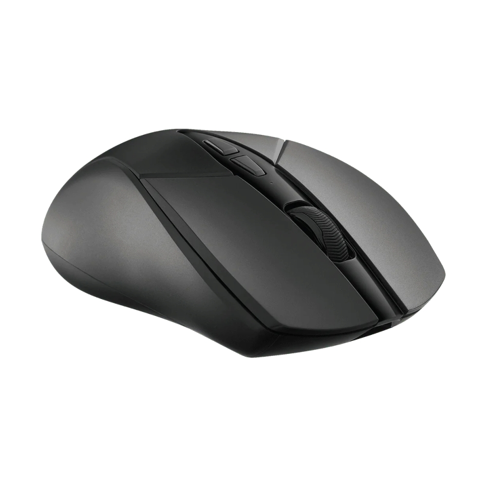MOUSE WIRELESS RAPOO V300SE BLACK (เมาส์ไร้สาย)