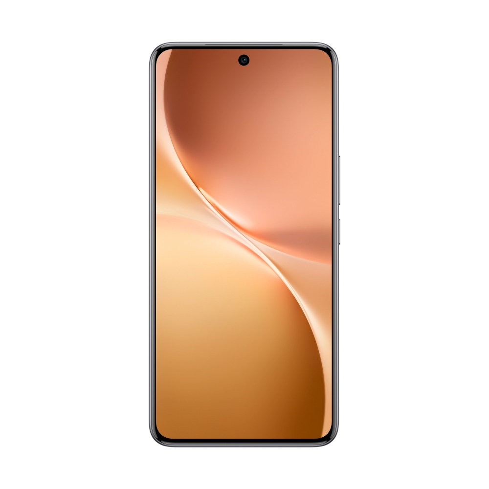 VIVO V60 (12+256GB) Mist Gray
