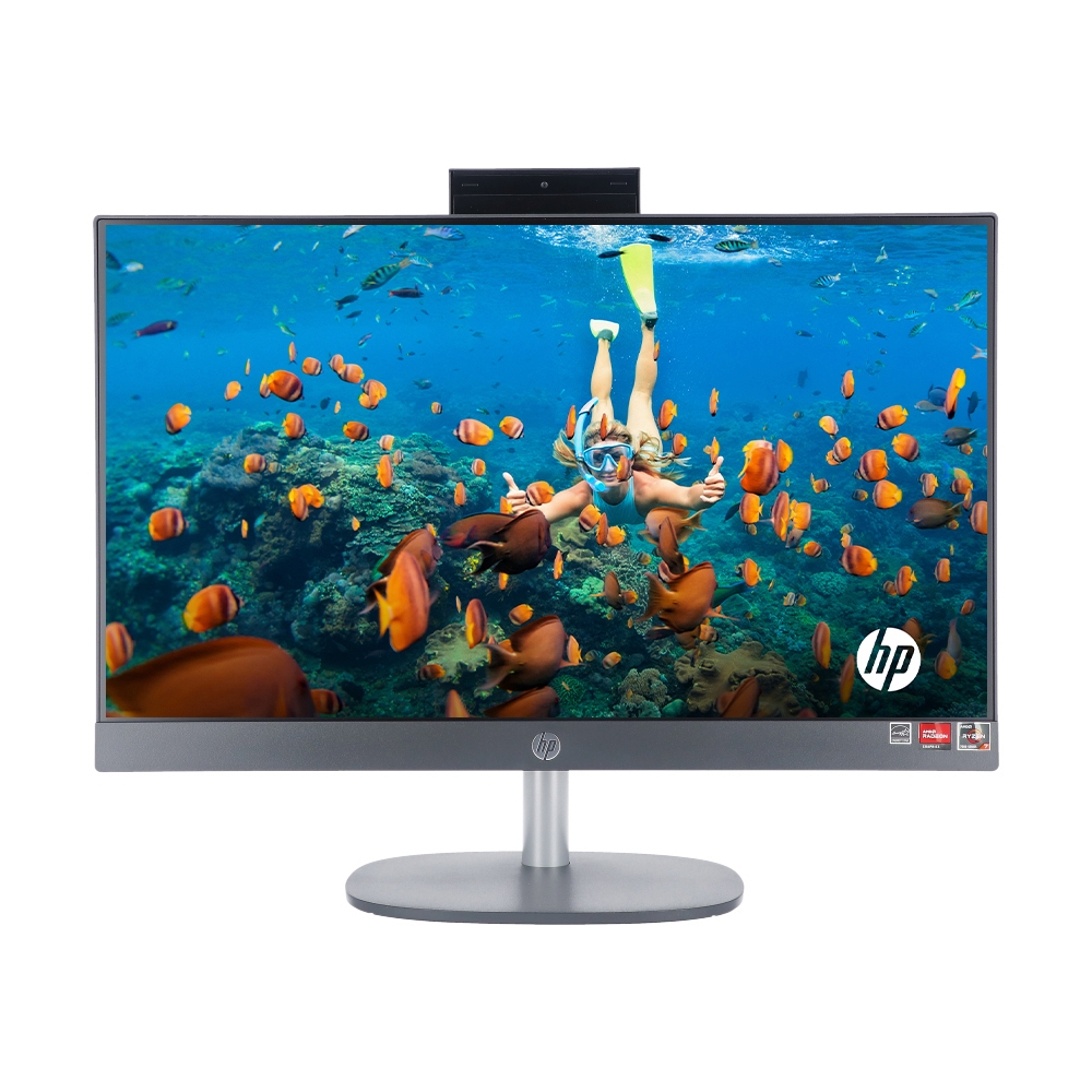 AIO HP ProOne 245 G10 (BX0D9PT#AKL)