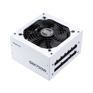 POWER SUPPLY (80+ GOLD) 750W SEGOTEP GM750W WHITE