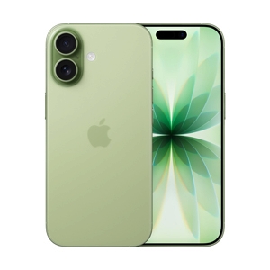 Apple iPhone 17 256GB Sage (MG6N4ZP/A)