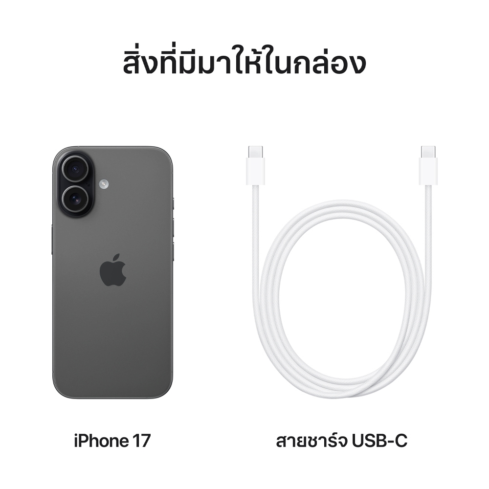 Apple iPhone 17 512GB Black (MG6P4ZP/A)