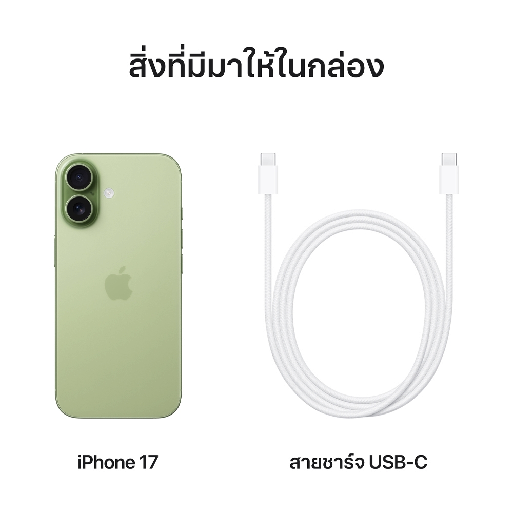 Apple iPhone 17 512GB Sage (MG6V4ZP/A)