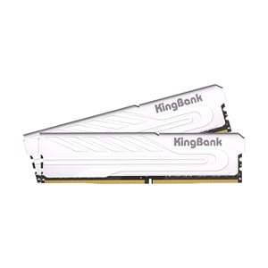 RAM DDR5(5600) 32GB (16GBX2) KINGBANK KJUS