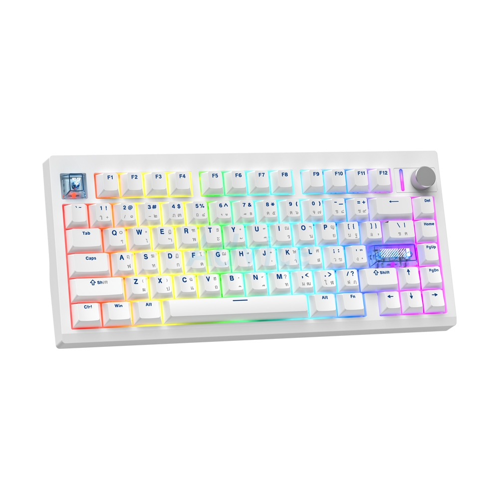 KEYBOARD WIRELESS BLUETOOTH FANTECH MK921 MAXFIT8 WHITE (BROWN SWITCH คีย์บอร์ด)