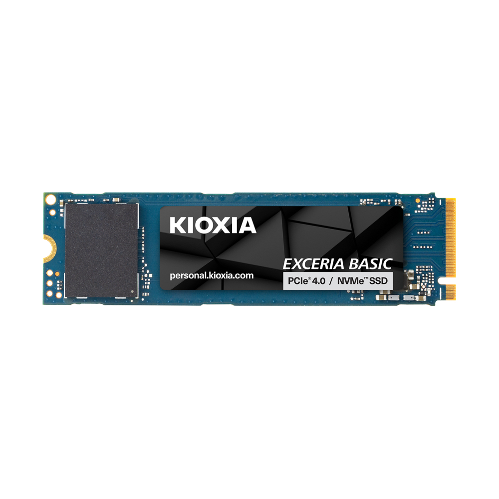 1 TB SSD M.2 PCIe 4.0 KIOXIA (LSF10Z001TG8) NVMe M.2 2280