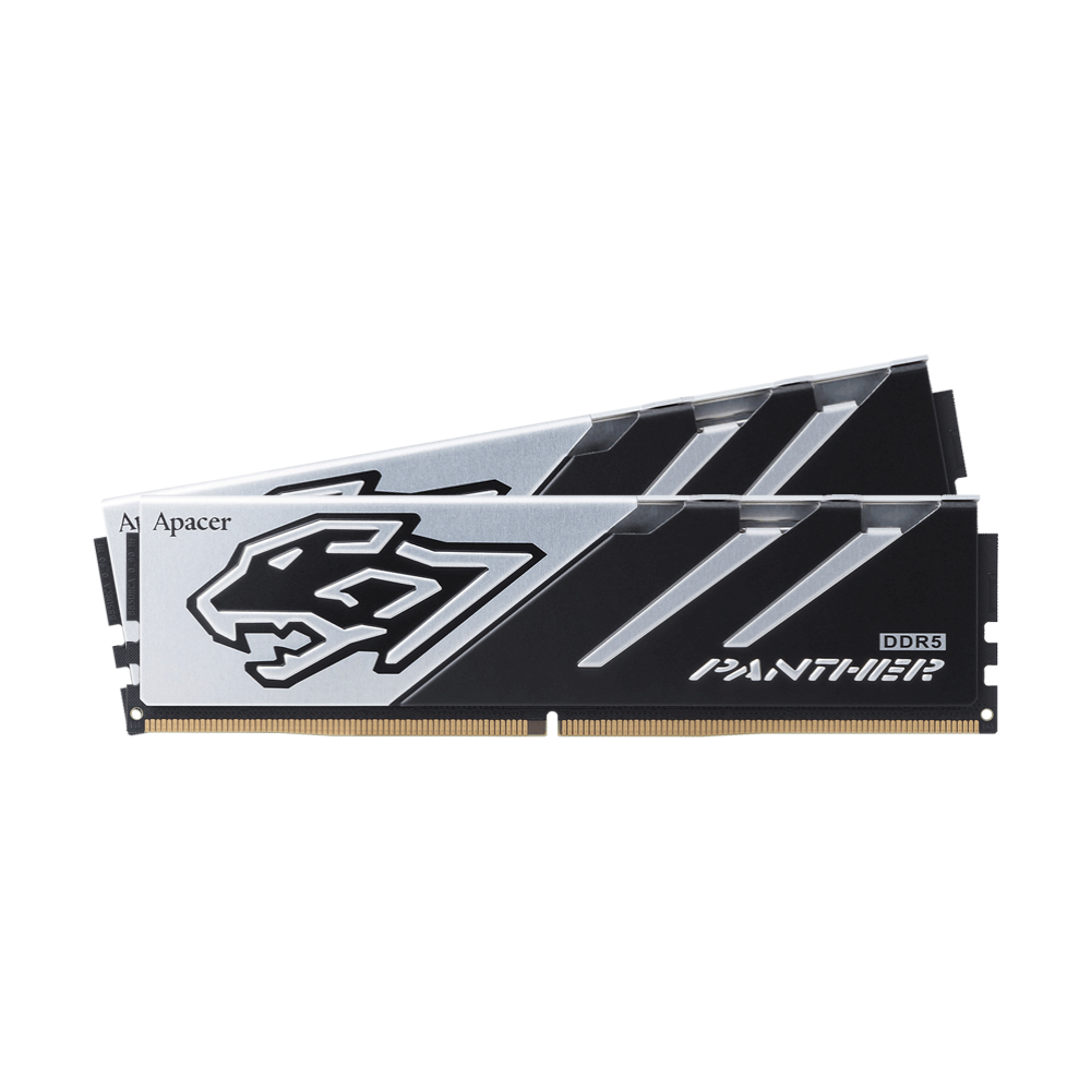 RAM DDR5(6000) 32GB (16GBX2) APACER GAMING BLACK (AH5U32G60C6227BAA-2)