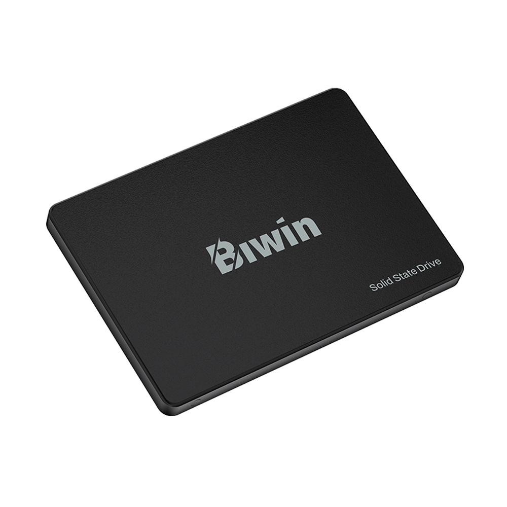 256 GB SSD SATA BIWIN M100 (BM100NN256G-RGX)