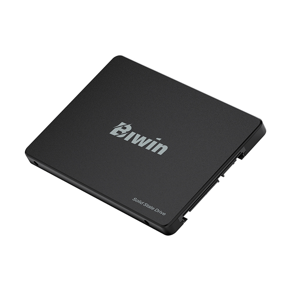 256 GB SSD SATA BIWIN M100 (BM100NN256G-RGX)