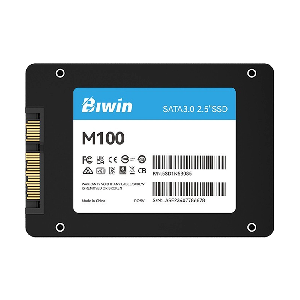 256 GB SSD SATA BIWIN M100 (BM100NN256G-RGX)
